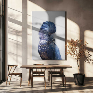 Tablou canvas „Black Cockatoo” de Kathrin Pienaar
