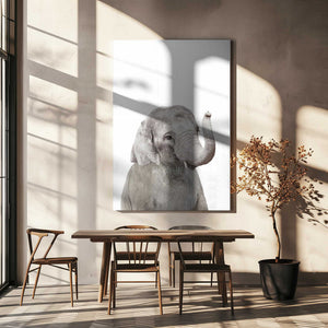 Tablou canvas „Baby Elephant” de Kathrin Pienaar