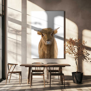 Tablou canvas „Baby Cow” de Kathrin Pienaar