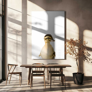 Tablou canvas „Baby Duck” de Kathrin Pienaar