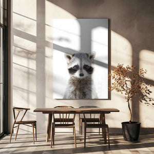 Tablou canvas „Baby Racoon” de Kathrin Pienaar