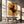 Tablou canvas „RODEO CAT” de Adam Lawless
