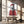 Tablou canvas „Santa lion” de Balazs Solti