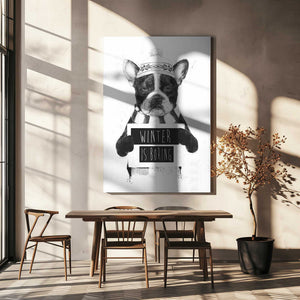 Tablou canvas „Winter is boring” de Balazs Solti