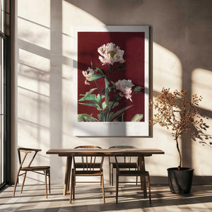 Tablou canvas „Hærdaceous Peony no2” de Ogawa Kazumasa