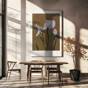 Tablou canvas „Iris Kæmpferi no2” de Ogawa Kazumasa