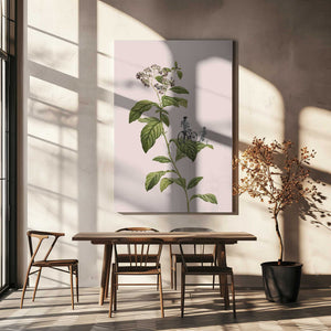 Tablou canvas „Botanical cycling” de Frida Floral Studio