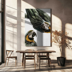 Tablou canvas „Vibrant Parrot Duo” de Shot by Clint