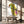 Tablou canvas „Vibrant Parrot Profile” de Shot by Clint