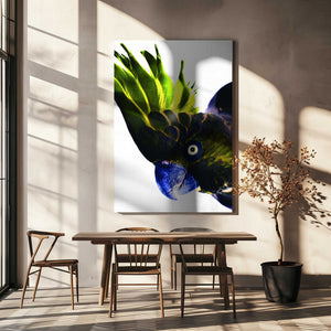 Tablou canvas „Vivid Bird Glance” de Shot by Clint