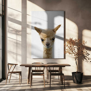 Tablou canvas „Peekaboo Baby Llama” de Lola Peacock
