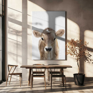 Tablou canvas „Peekaboo Baby Cow” de Lola Peacock