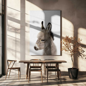 Tablou canvas „Peekaboo Baby Donkey” de Lola Peacock