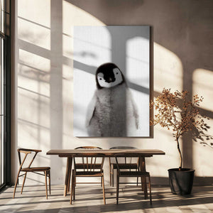 Tablou canvas „Peekaboo Baby Penguin” de Lola Peacock