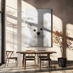 Tablou canvas „Peekaboo Baby Polar Bear” de Lola Peacock