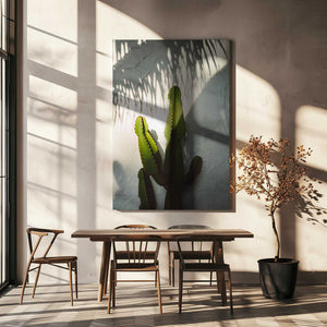 Tablou canvas „Socal Shadows” de Bethany Young
