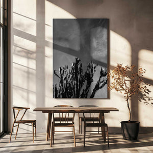 Tablou canvas „Monochrome Cactus Sky” de Bethany Young