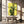 Tablou canvas „Yellow Cactus” de Lila & Lola