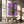 Tablou canvas „Purple Cactus” de Lila & Lola