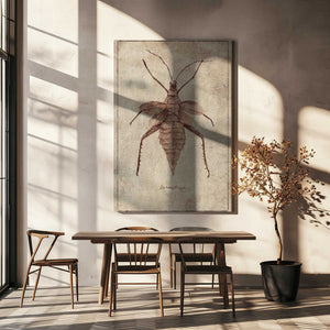 Tablou canvas „Vintage Insect Illustration” de Mike Koubou