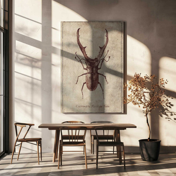 Tablou canvas „Antique Beetle Illustration” de Mike Koubou