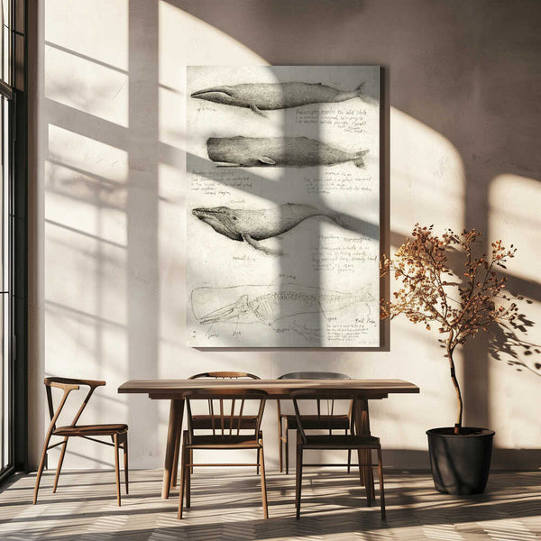 Tablou canvas „Sketches Of Various Whale” de Mike Koubou