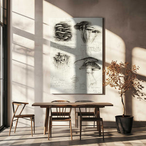 Tablou canvas „Various Botanical Mushrooms” de Mike Koubou