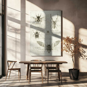 Tablou canvas „Sketches Of Beetles And Insects” de Mike Koubou