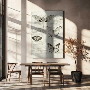 Tablou canvas „Butterfly Illustrations” de Mike Koubou