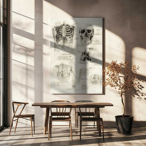 Tablou canvas „Bones of the Core Skull &amp; Ribcage Studies” de Mike Koubou