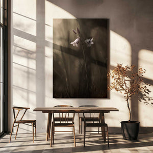 Tablou canvas „A small flower on the ground” de Allan Wallberg