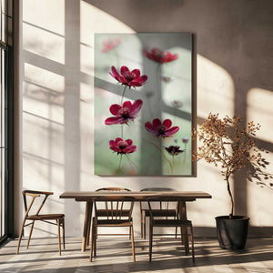 Tablou canvas „Cosmos sway” de Mandy Disher