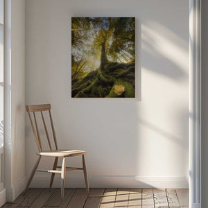 Tablou canvas „The goodbye of a leaf” de Alberto Ghizzi Panizza