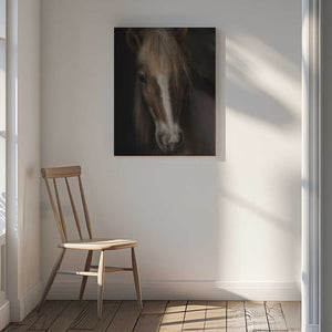 Tablou canvas „Sapience” de Martine Benezech