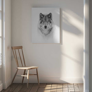Tablou canvas „Portrait of a Timber Wolf” de Jim Cumming