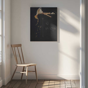 Tablou canvas „A study with free fall” de Dina Belenko
