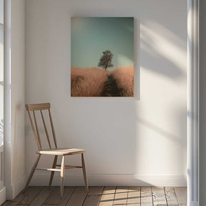Tablou canvas „Grass and Path” de Jaap van den Helm