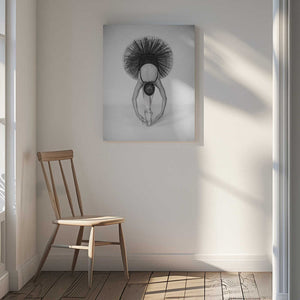 Tablou canvas „Ballet Technique” de Pauline Pentony MA ARPS DPAGB