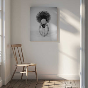 Tablou canvas „Ballet Technique” de Pauline Pentony MA ARPS DPAGB