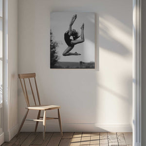 Tablou canvas „Dance” de Martin Krystynek MQEP