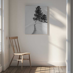 Tablou canvas „About the snow and forms” de Rodrigo Núñez Buj