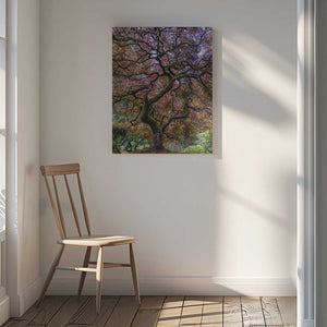Tablou canvas „Japanese Maple Tree” de Mike Centioli