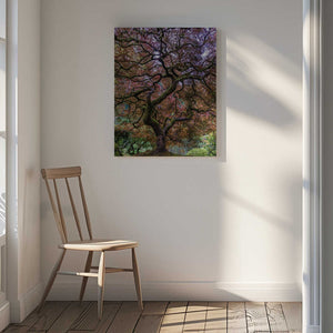 Tablou canvas „Japanese Maple Tree” de Mike Centioli