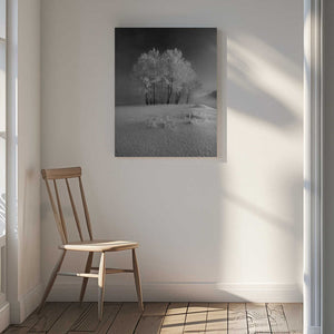 Tablou canvas „The first snow” de Krzysztof Mierzejewski