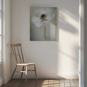 Tablou canvas „Single White” de Jacky Parker