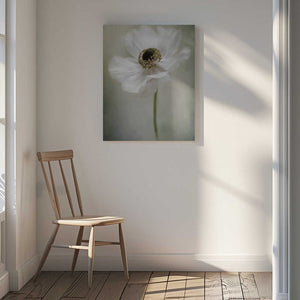 Tablou canvas „Single White” de Jacky Parker