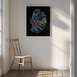 Tablou canvas „The  Betta Fish” de Andi Halil