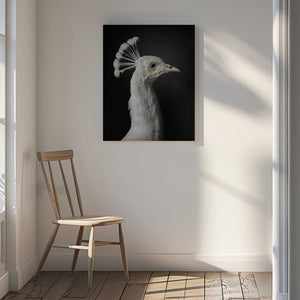Tablou canvas „M A J E S T I C” de fegari