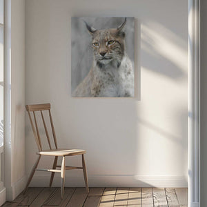 Tablou canvas „Lynx portrait in the fog” de Santiago Pascual Buye