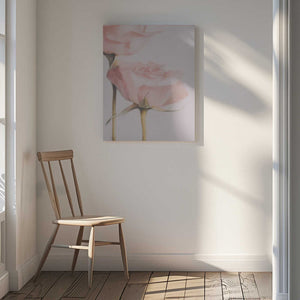 Tablou canvas „Two Roses” de Delphine Devos